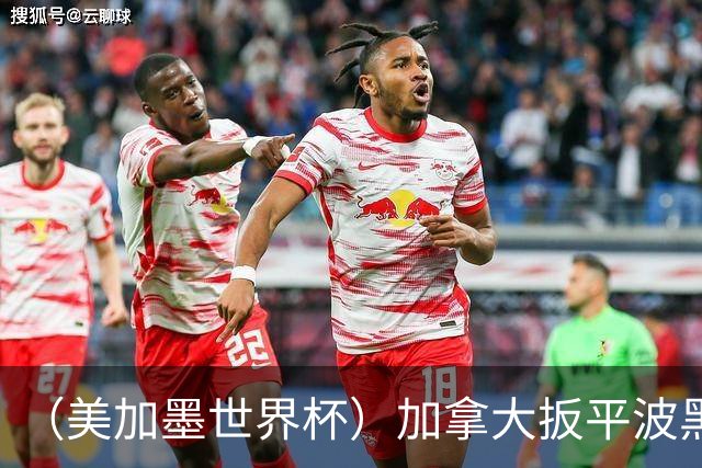 （美加墨世界杯）加拿大扳平波黑 获队史世界杯首分