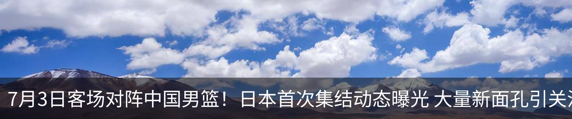最新动态