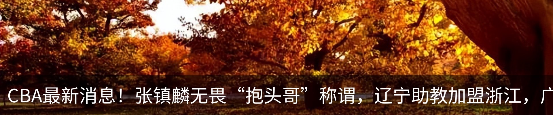 最新动态