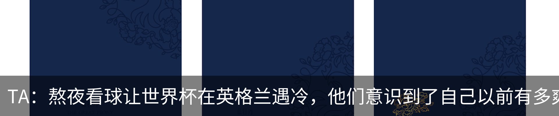 最新动态